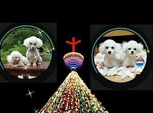 2021년 성산의 크리스마스