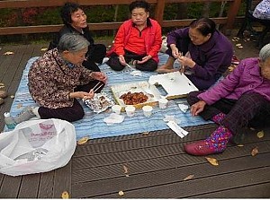 대구문화 1일체험 (수목원)