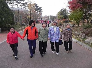 대구문화 1일체험 (수목원)