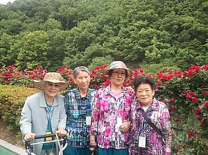1일 대구문화체험