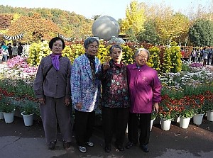 수목원 국화꽃 축제