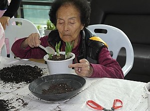 원예프로그램 활동사진입니다.