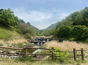 2022년 봄 나들이 "꽃피는 봄이오면"