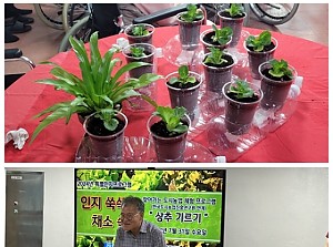 찾아가는 도시농업 체험 프로그램(상추심기)